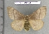  ( - barcode SNB 4497)  @14 [ ] Copyright (2012) Stefan Naumann Research Collection of Stefan Naumann