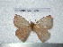  ( - barcode SNB 4551)  @13 [ ] Copyright (2012) Stefan Naumann Research Collection of Stefan Naumann