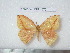  ( - barcode SNB 4572)  @11 [ ] Copyright (2012) Stefan Naumann Research Collection of Stefan Naumann