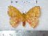  ( - barcode SNB 4577)  @12 [ ] Copyright (2012) Stefan Naumann Research Collection of Stefan Naumann