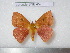  ( - barcode SNB 4578)  @12 [ ] Copyright (2012) Stefan Naumann Research Collection of Stefan Naumann