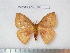  ( - barcode SNB 4588)  @14 [ ] Copyright (2012) Stefan Naumann Research Collection of Stefan Naumann
