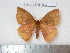  ( - barcode SNB 4592)  @14 [ ] Copyright (2012) Stefan Naumann Research Collection of Stefan Naumann