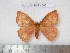  ( - barcode SNB 4593)  @14 [ ] Copyright (2012) Stefan Naumann Research Collection of Stefan Naumann