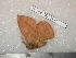  ( - barcode SNB 5157)  @11 [ ] Copyright (2010) Stefan Naumann Research Collection of Stefan Naumann
