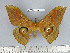  ( - barcode SNB 5264)  @12 [ ] Copyright (2013) Stefan Naumann Research Collection of Stefan Naumann