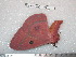  ( - barcode SNB 5315)  @12 [ ] Copyright (2014) Stefan Naumann Research Collection of Stefan Naumann