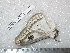  ( - barcode SNB 5332)  @12 [ ] Copyright (2014) Stefan Naumann Research Collection of Stefan Naumann