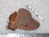  ( - barcode SNB 5640)  @12 [ ] Copyright (2015) Stefan Naumann Research Collection of Stefan Naumann