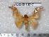  ( - barcode SNB 5747)  @13 [ ] Copyright (2015) Stefan Naumann Research Collection of Stefan Naumann