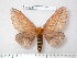  ( - barcode SNB 6117)  @11 [ ] Copyright (2017) Stefan Naumann Research Collection of Stefan Naumann