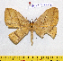  ( - barcode SNB 7187)  @11 [ ] copyright (2022) Stefan Naumann Research collection of Stefan Naumann