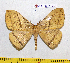  ( - barcode SNB 7188)  @11 [ ] copyright (2022) Stefan Naumann Research collection of Stefan Naumann