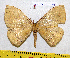  ( - barcode SNB 7189)  @11 [ ] copyright (2022) Stefan Naumann Research collection of Stefan Naumann