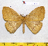  ( - barcode SNB 7190)  @11 [ ] copyright (2022) Stefan Naumann Research collection of Stefan Naumann