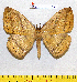  ( - barcode SNB 7191)  @11 [ ] copyright (2022) Stefan Naumann Research collection of Stefan Naumann