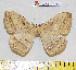  ( - barcode SNB 7196)  @11 [ ] copyright (2022) Stefan Naumann Research collection of Stefan Naumann