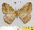  ( - barcode SNB 7197)  @11 [ ] copyright (2022) Stefan Naumann Research collection of Stefan Naumann
