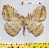  ( - barcode SNB 7199)  @11 [ ] copyright (2022) Stefan Naumann Research collection of Stefan Naumann