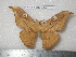  ( - barcode SNB 7283)  @11 [ ] copyright (2022) Stefan Naumann Research collection of Stefan Naumann