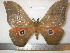  ( - barcode SNB 7312)  @11 [ ] copyright (2022) Stefan Naumann Research collection of Stefan Naumann