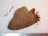  ( - barcode SNB 7536)  @11 [ ] copyright (2024) Stefan Naumann Research collection of Stefan Naumann