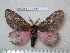  ( - barcode SNB 4847)  @13 [ ] Copyright (2012) Stefan Naumann Research Collection of Stefan Naumann