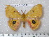  ( - barcode SNB 4849)  @13 [ ] Copyright (2012) Stefan Naumann Research Collection of Stefan Naumann