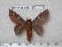  ( - barcode SNB 4853)  @13 [ ] Copyright (2012) Stefan Naumann Research Collection of Stefan Naumann