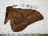  ( - barcode SNB 4928)  @12 [ ] Copyright (2012) Stefan Naumann Research Collection of Stefan Naumann