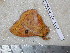  ( - barcode SNB 4984)  @12 [ ] Copyright (2012) Stefan Naumann Research Collection of Stefan Naumann