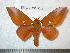  ( - barcode SNB 5026)  @14 [ ] Copyright (2012) Stefan Naumann Research Collection of Stefan Naumann