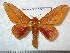  ( - barcode SNB 5027)  @14 [ ] Copyright (2012) Stefan Naumann Research Collection of Stefan Naumann