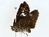  ( - BIOUG85243-D04)  @11 [ ] CreativeCommons - Attribution (2022) CBG Photography Group Centre for Biodiversity Genomics