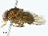  ( - BIOUG99481-D02)  @11 [ ] CreativeCommons - Attribution (2023) CBG Photography Group Centre for Biodiversity Genomics