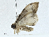  ( - BIOUG99482-G01)  @11 [ ] CreativeCommons - Attribution (2023) CBG Photography Group Centre for Biodiversity Genomics