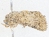  ( - CBG-A02885-D02)  @11 [ ] CreativeCommons - Attribution (2023) CBG Photography Group Centre for Biodiversity Genomics