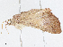  ( - CBG-A02885-F03)  @11 [ ] CreativeCommons - Attribution (2023) CBG Photography Group Centre for Biodiversity Genomics