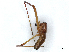  ( - CBG-A02919-H10)  @11 [ ] CreativeCommons - Attribution (2023) CBG Photography Group Centre for Biodiversity Genomics