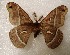  ( - aspicer2010-021)  @12 [ ] Copyright (2010) Unspecified The Research Collectino of Andrew Spicer