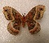  ( - aspicer2010-039)  @13 [ ] Copyright (2010) Unspecified The Research Collectino of Andrew Spicer