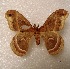  ( - aspicer2010-041)  @13 [ ] Copyright (2010) Unspecified The Research Collectino of Andrew Spicer