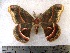  ( - aspicer2010-059)  @13 [ ] Copyright (2010) Unspecified The Research Collectino of Andrew Spicer