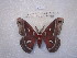  ( - ssmith2010-024A)  @12 [ ] Copyright (2010) Unspecified The Research Collection of Scott Smith