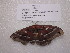 ( - ssmith2010-034A)  @12 [ ] Copyright (2010) Unspecified The Research Collection of Scott Smith