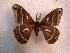  ( - ssmith2010-040A)  @12 [ ] Copyright (2010) Unspecified The Research Collection of Scott Smith
