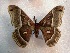  ( - ssmith2010-043A)  @13 [ ] Copyright (2010) Unspecified The Research Collection of Scott Smith