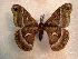  ( - ssmith2010-046A)  @12 [ ] Copyright (2010) Unspecified The Research Collection of Scott Smith