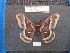  ( - ssmith2010-059)  @11 [ ] Copyright (2010) Unspecified The Research Collection of Scott Smith