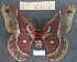  ( - ssmith2010-069)  @11 [ ] Copyright (2010) Unspecified The Research Collection of Scott Smith